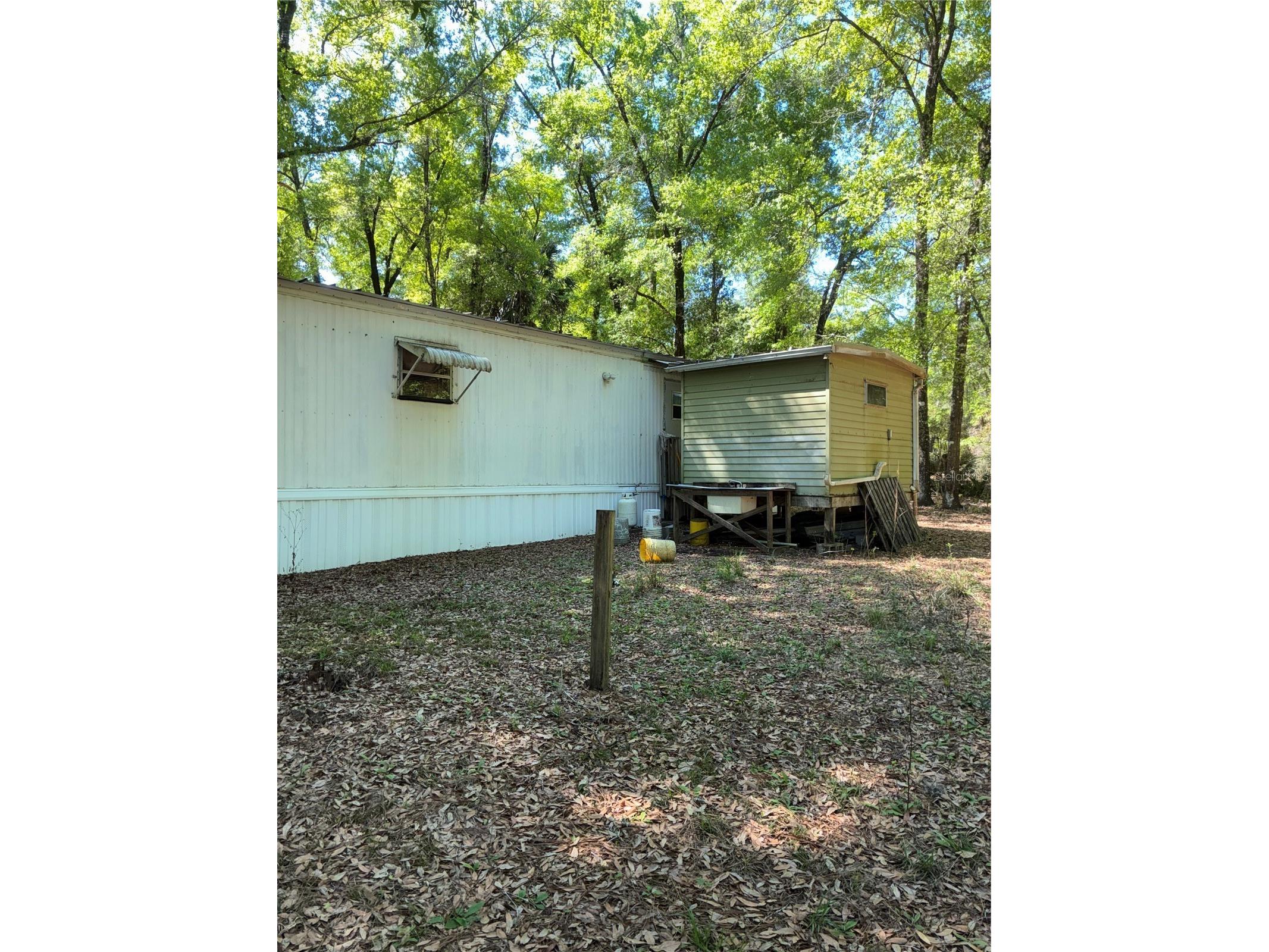 24533 Pink Panther Road Paisley FL 32767 G5110075 image8
