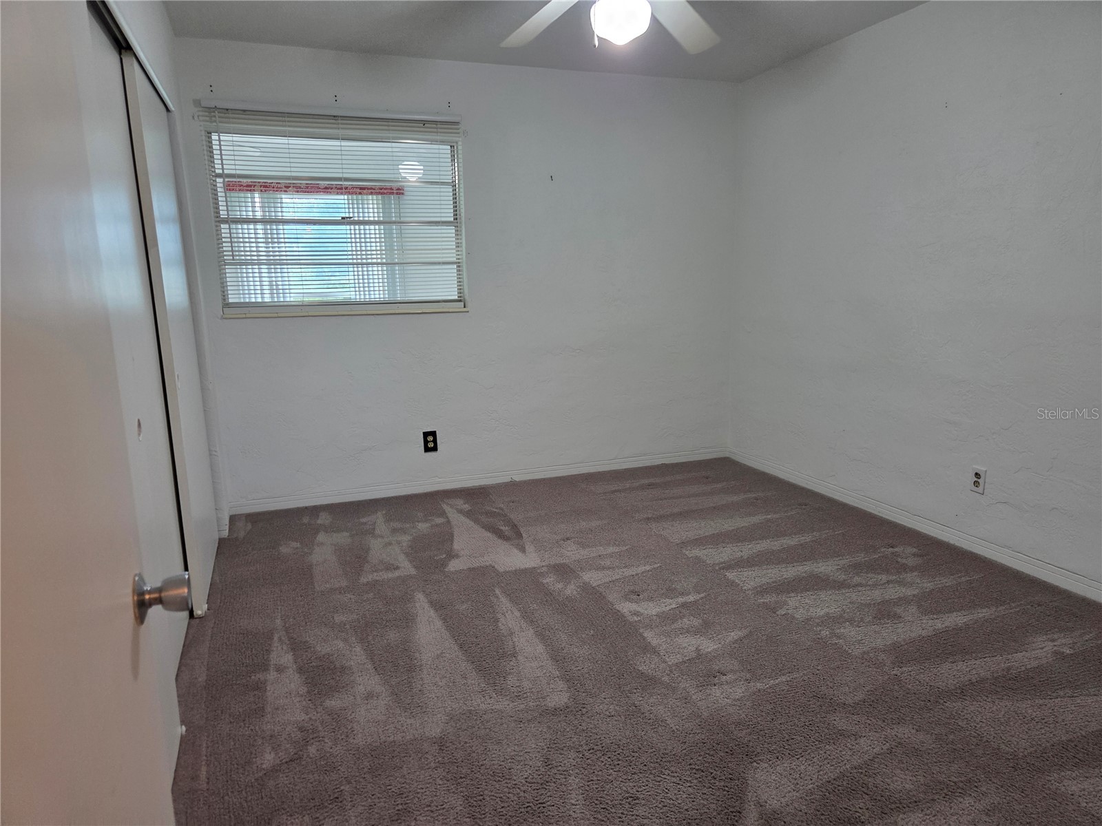 2454 Australia Way E #66 Clearwater FL 33763 TB8525414 image23