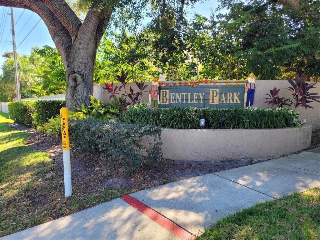 2454 Bentley Drive Palm Harbor FL 34684 TB8437714 image13