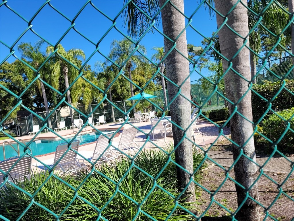 2454 Bentley Drive Palm Harbor FL 34684 TB8437714 image14