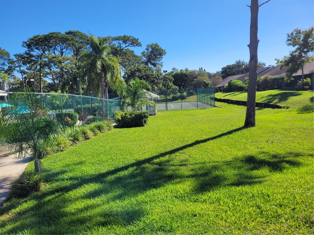 2454 Bentley Drive Palm Harbor FL 34684 TB8437714 image16