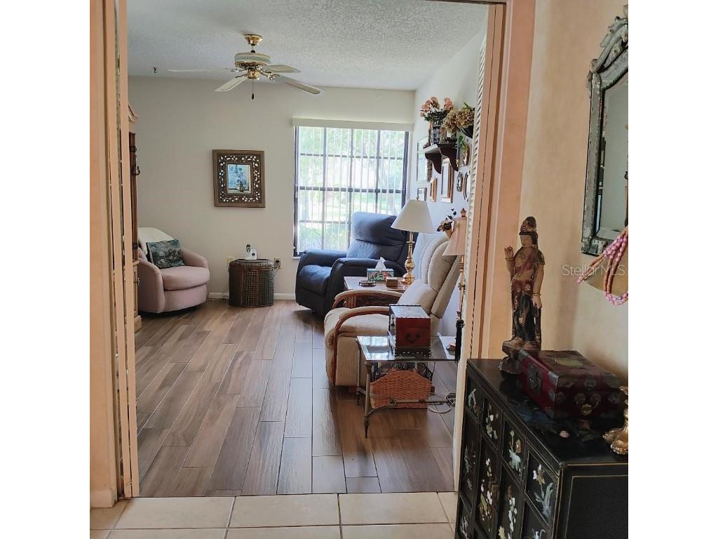 2454 Bentley Drive Palm Harbor FL 34684 TB8437714 image4