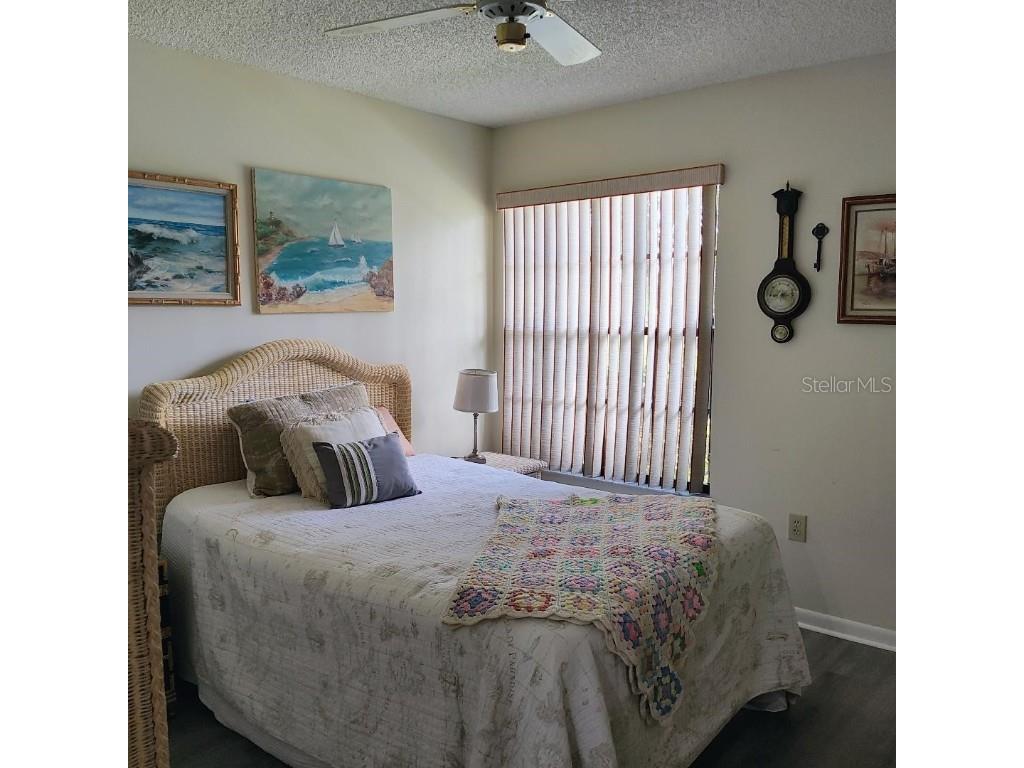 2454 Bentley Drive Palm Harbor FL 34684 TB8437714 image7