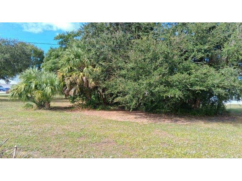 2454 Dorsey Street Punta Gorda FL 33983 C7518108 image5