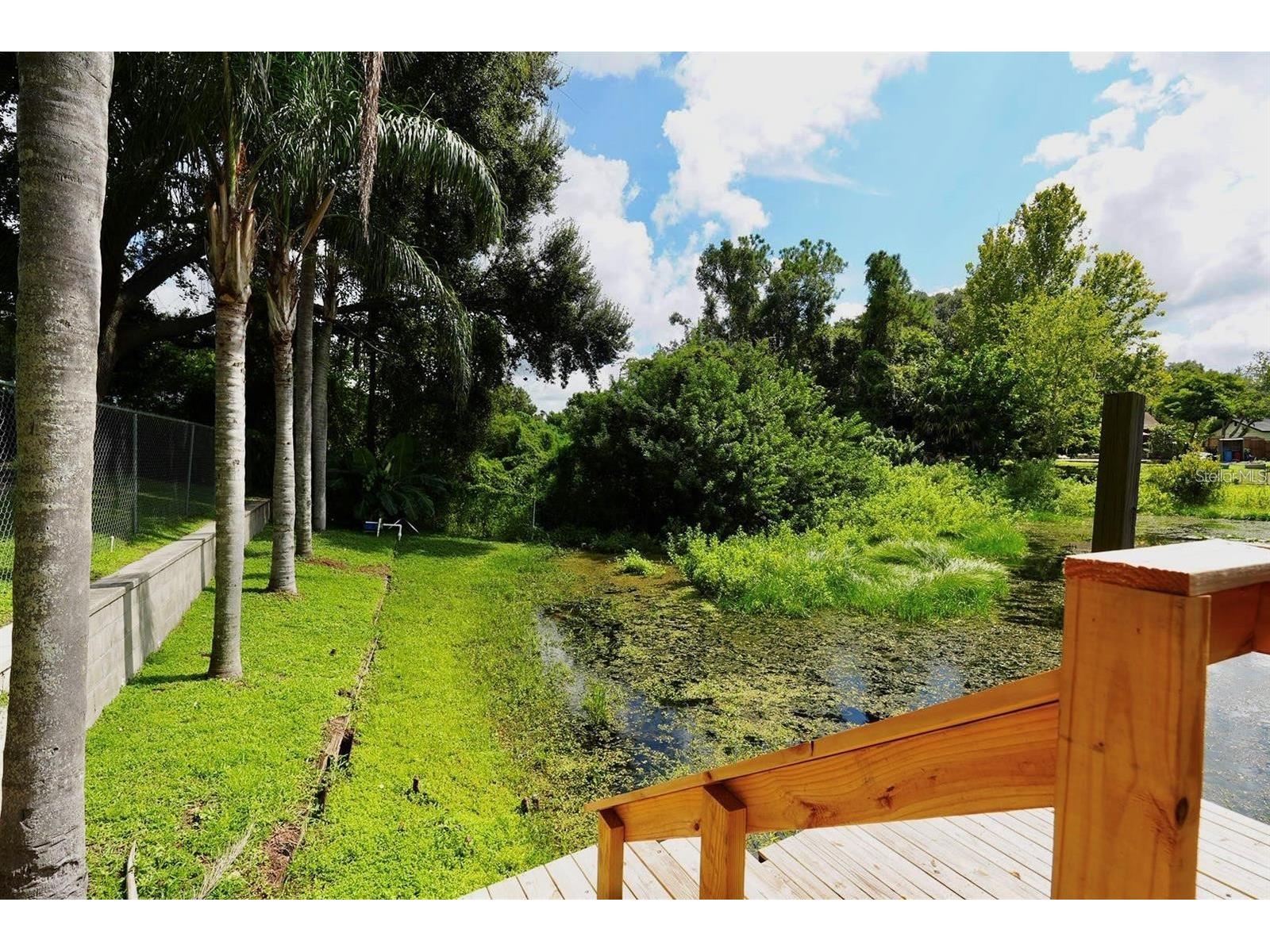 2454 Shadecrest Road Land O Lakes FL 34639 - LAKE JO ANN CATFISH LAKE ETC TB8468808 image23