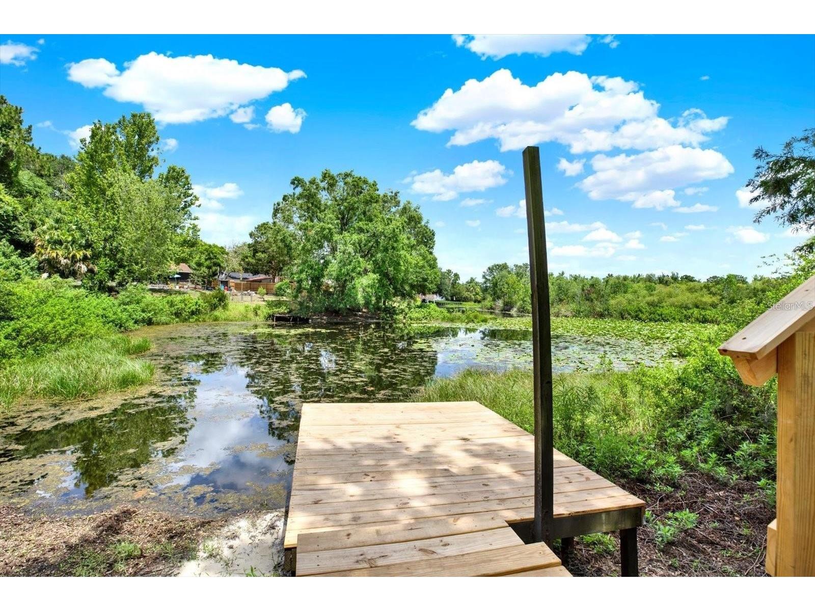 2454 Shadecrest Road Land O Lakes FL 34639 - LAKE JO ANN CATFISH LAKE ETC TB8468808 image24