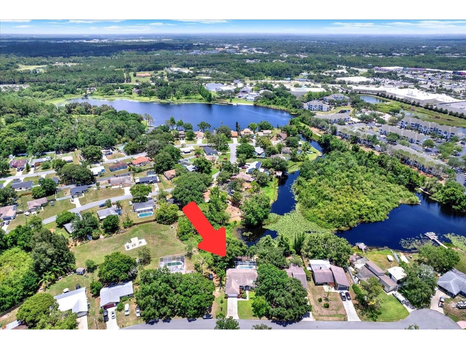 2454 Shadecrest Road Land O Lakes FL 34639 - LAKE JO ANN CATFISH LAKE ETC TB8468808 image27