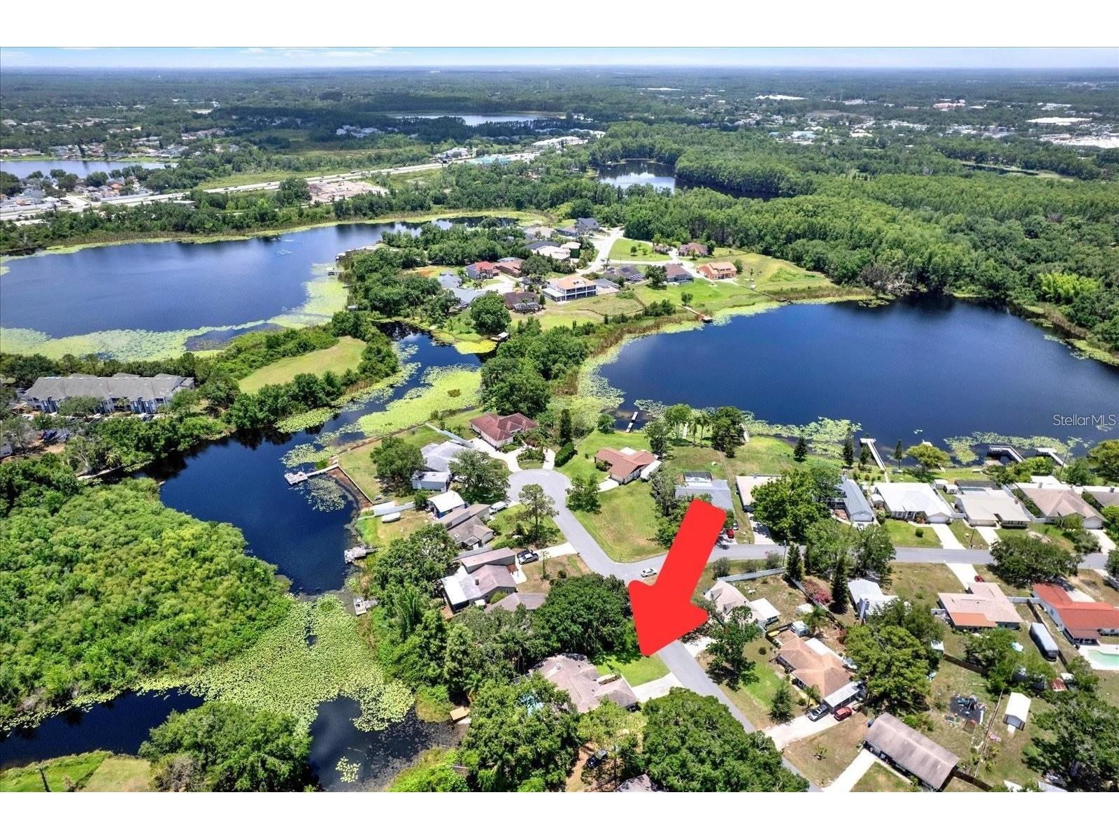 2454 Shadecrest Road Land O Lakes FL 34639 - LAKE JO ANN CATFISH LAKE ETC TB8468808 image28
