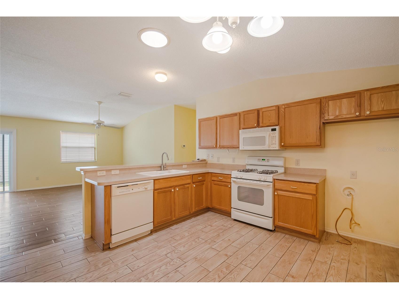 2454 Southern Oak Street The Villages FL 32162 O6390994 image10