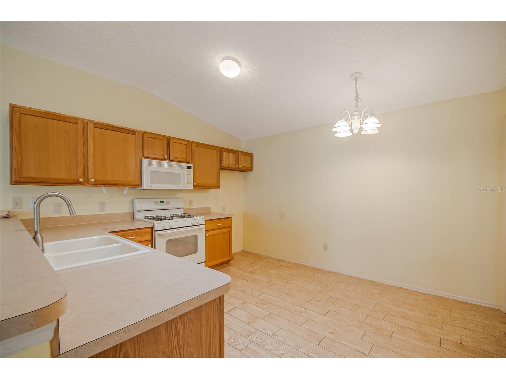 2454 Southern Oak Street The Villages FL 32162 O6390994 image11