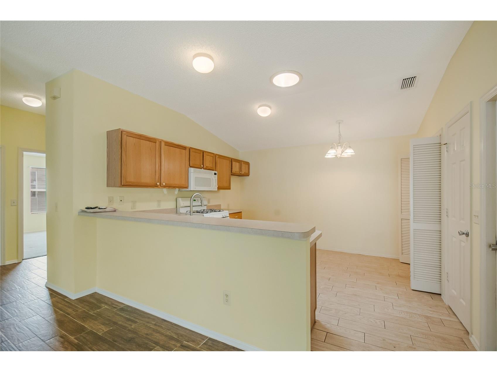 2454 Southern Oak Street The Villages FL 32162 O6410409 image14