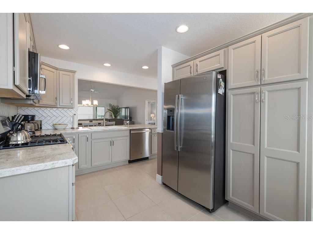 2454 Youngmann Loop The Villages FL 32163 G5106842 image2
