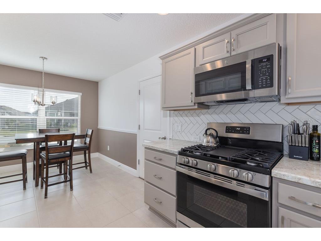 2454 Youngmann Loop The Villages FL 32163 G5106842 image23