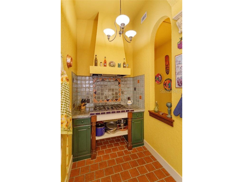 24540 Turkey Lake Road Howey In The Hills FL 34737 G5105259 image11