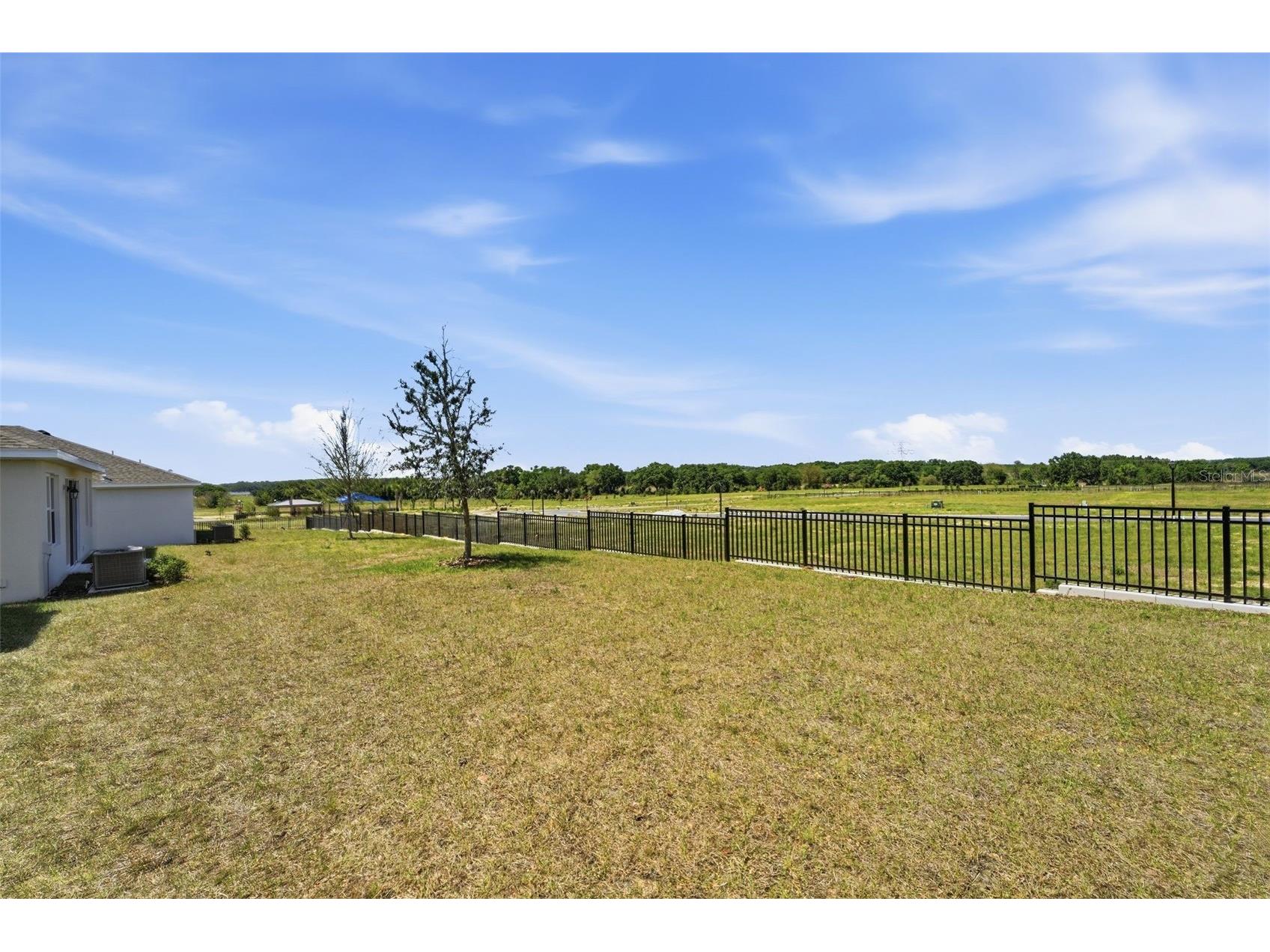 24542 Hodges Reserve Avenue Howey In The Hills FL 34737 O6351414 image29