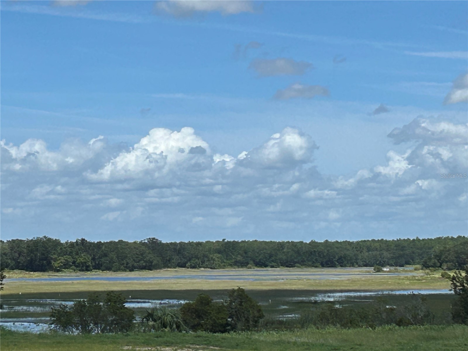 24542 Hodges Reserve Avenue Howey In The Hills FL 34737 O6351414 image33