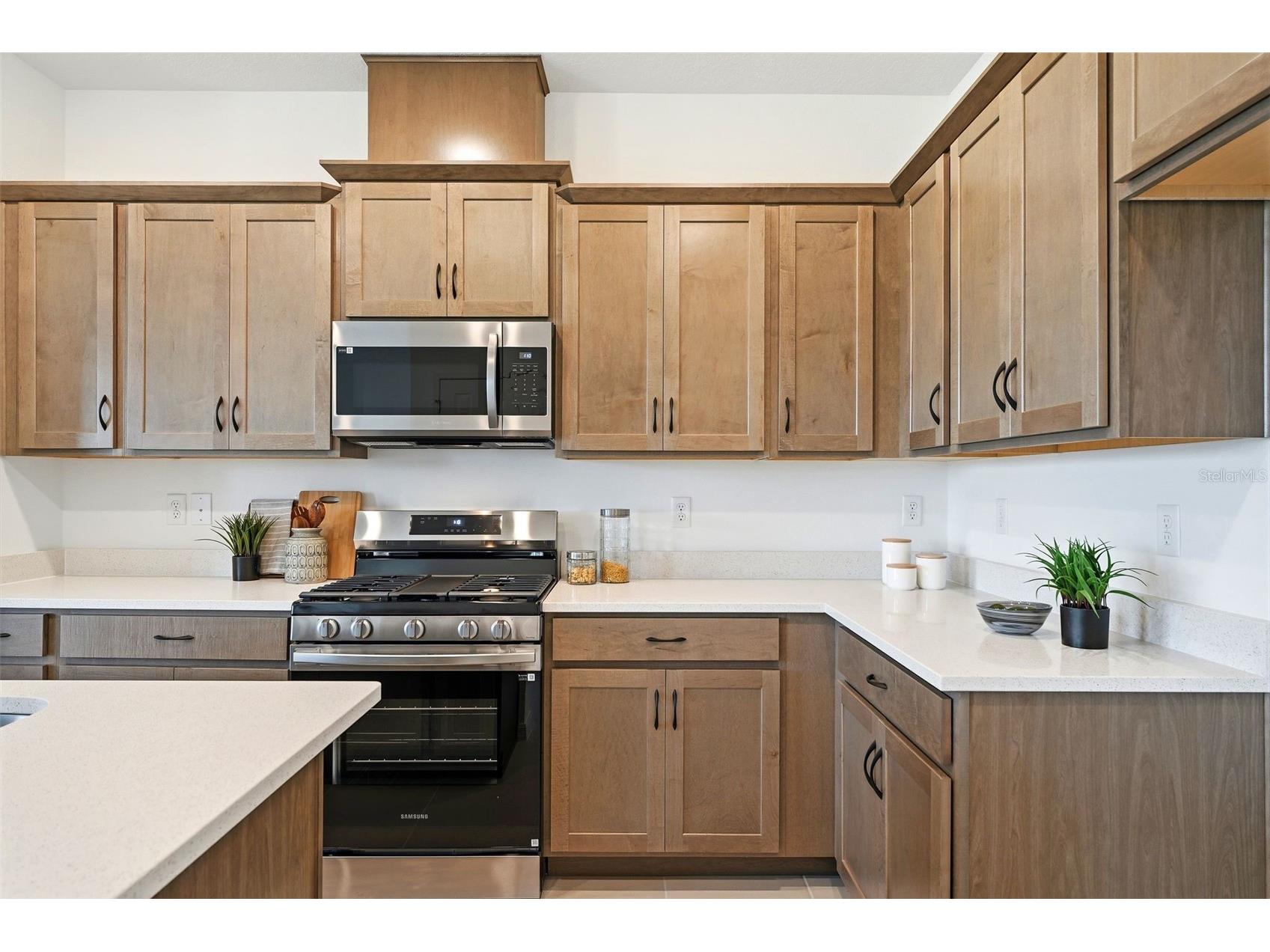 24542 Hodges Reserve Avenue Howey In The Hills FL 34737 O6351414 image5