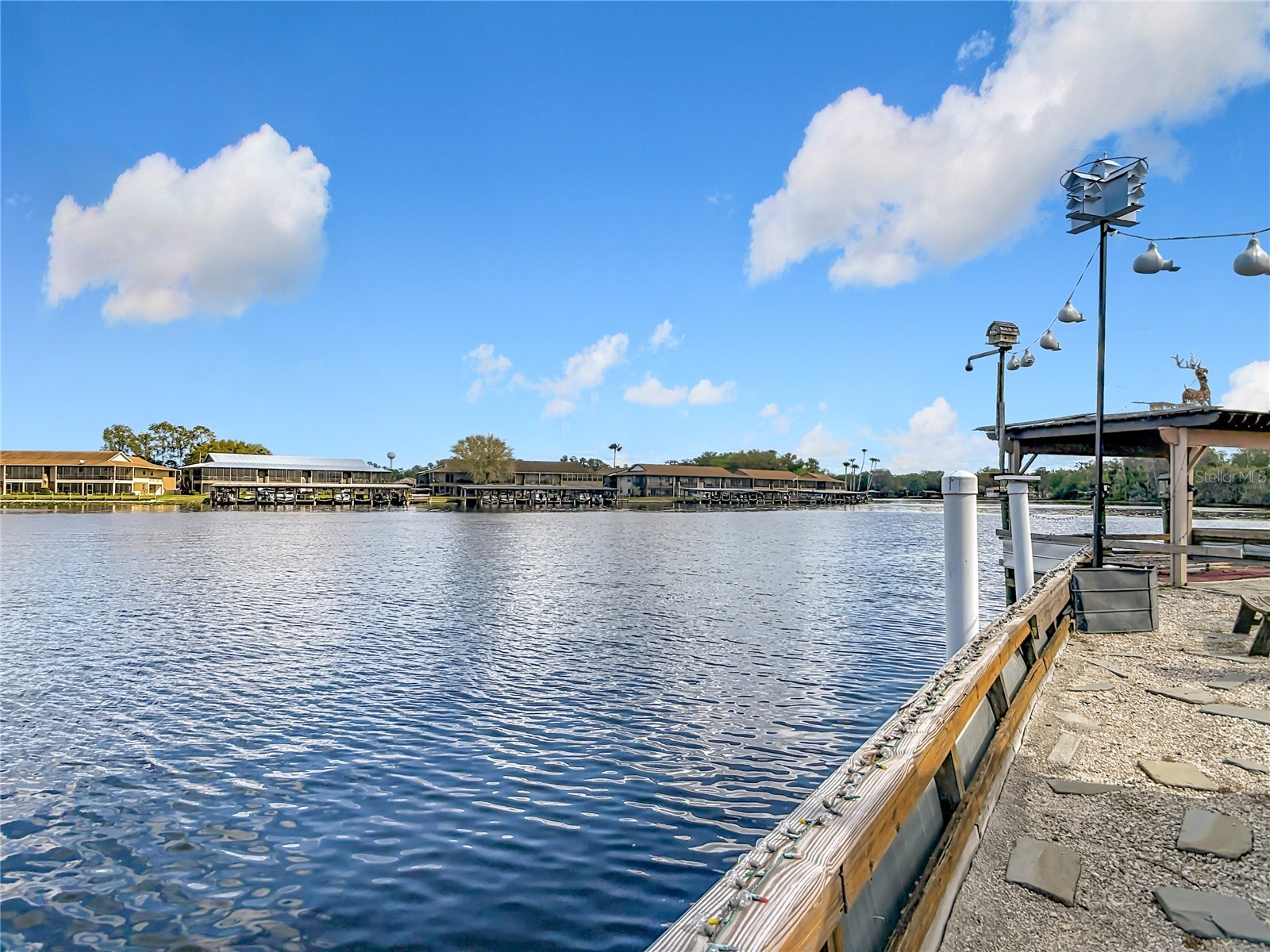 24545 Snail Road Astor FL 32102 - ST JOHNS OM720532 image48