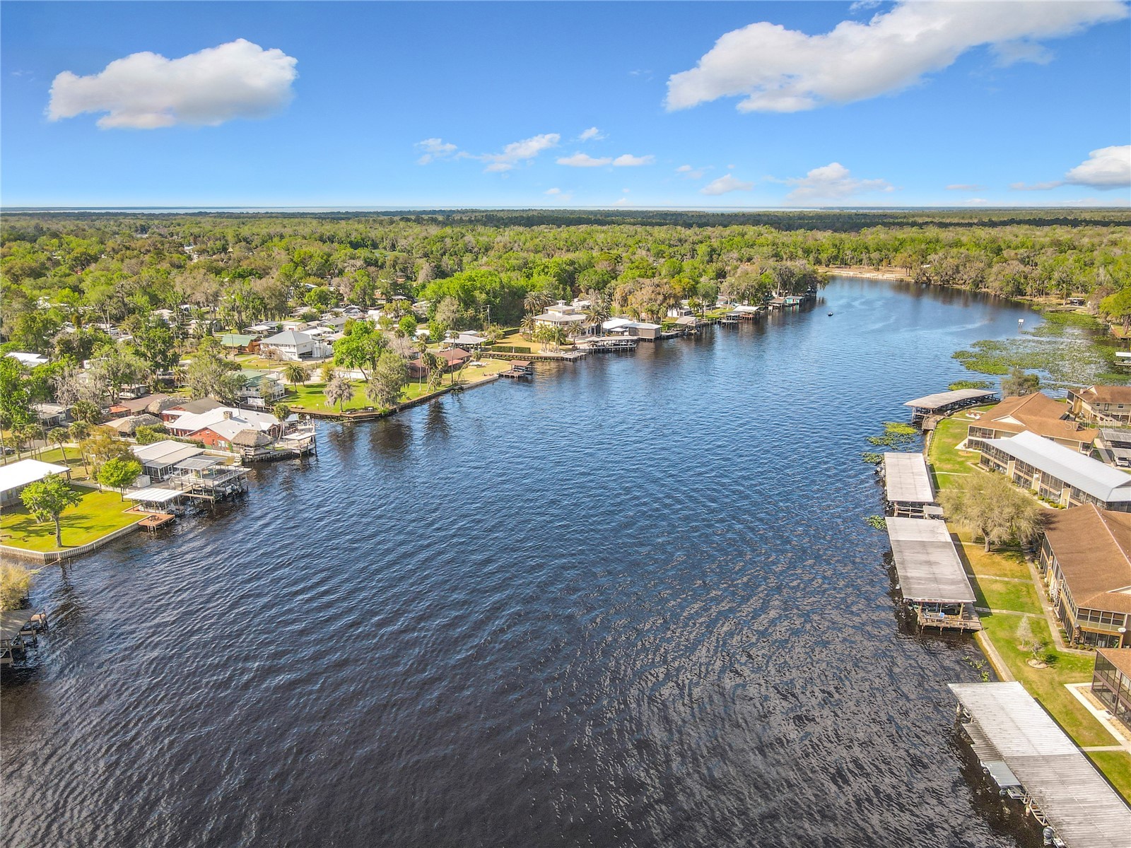 24545 Snail Road Astor FL 32102 - ST JOHNS OM720532 image61