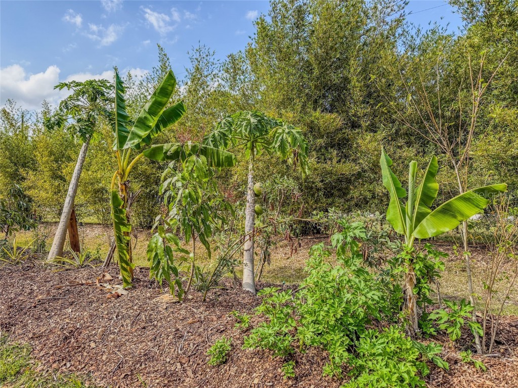 24549 Nova Lane Punta Gorda FL 33980 TB8368842 image38