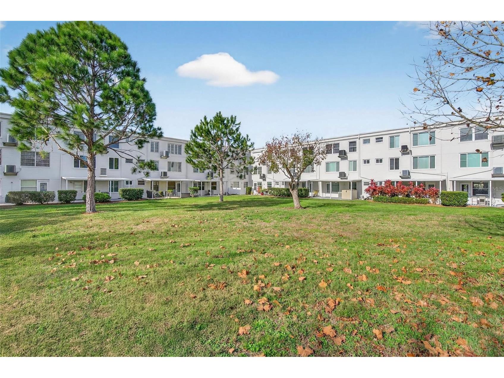 2455 Finlandia Lane #3 Clearwater FL 33763 TB8463947 image26