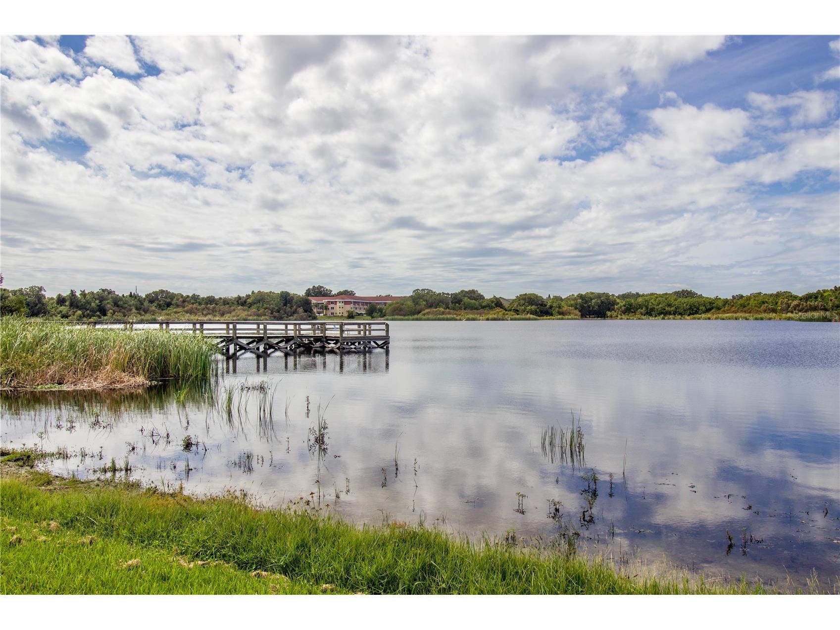 2455 Finlandia Lane #3 Clearwater FL 33763 TB8463947 image46