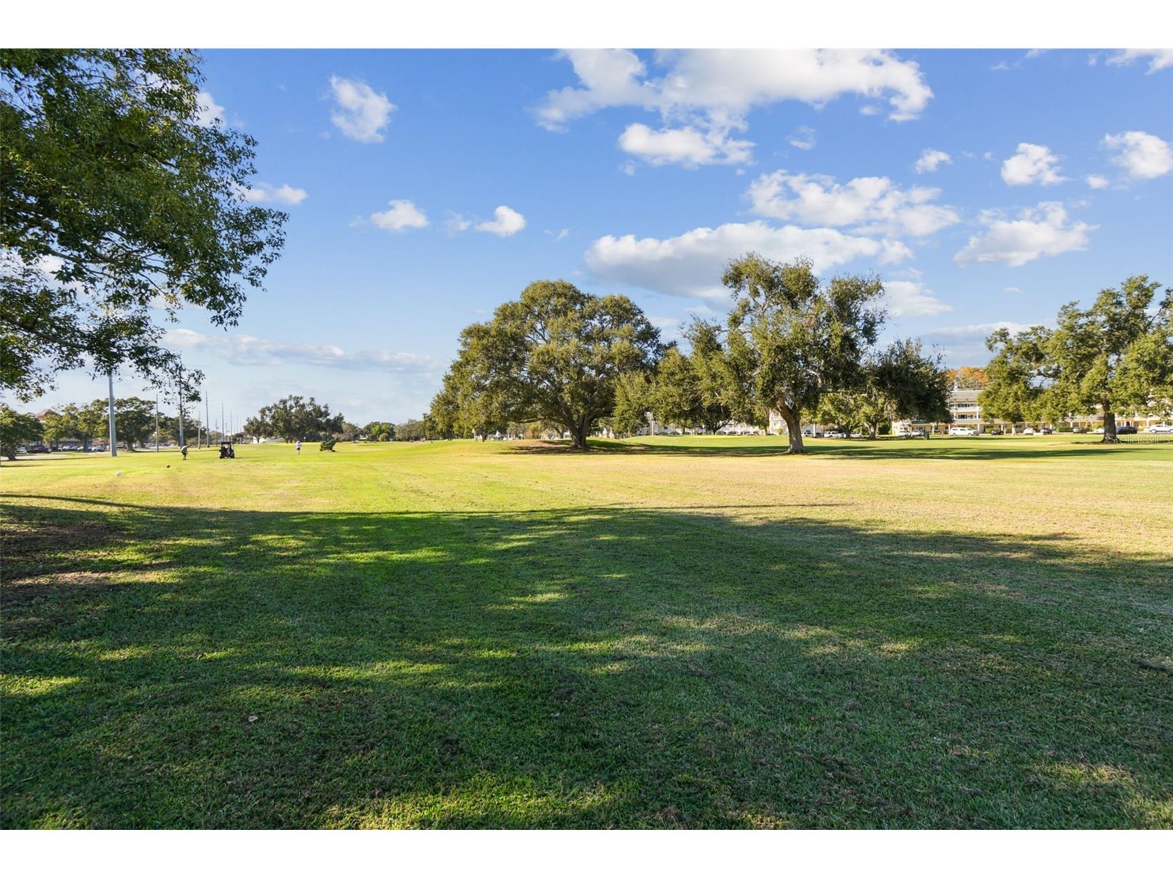 2455 Finlandia Lane #67 Clearwater FL 33763 TB8491251 image39