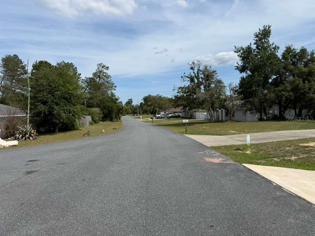 2455 SW 159th Lane Ocala FL 34473 O6405758 image3