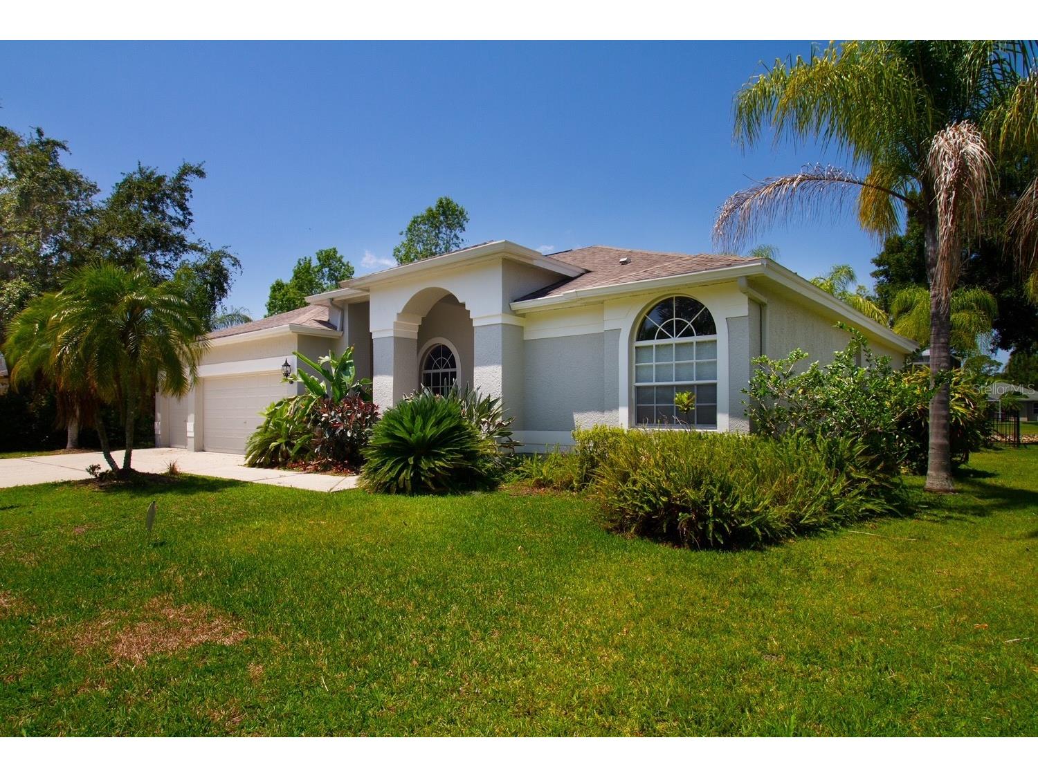 2456 Appaloosa Trail Palm Harbor FL 34685 TB8504099 image2