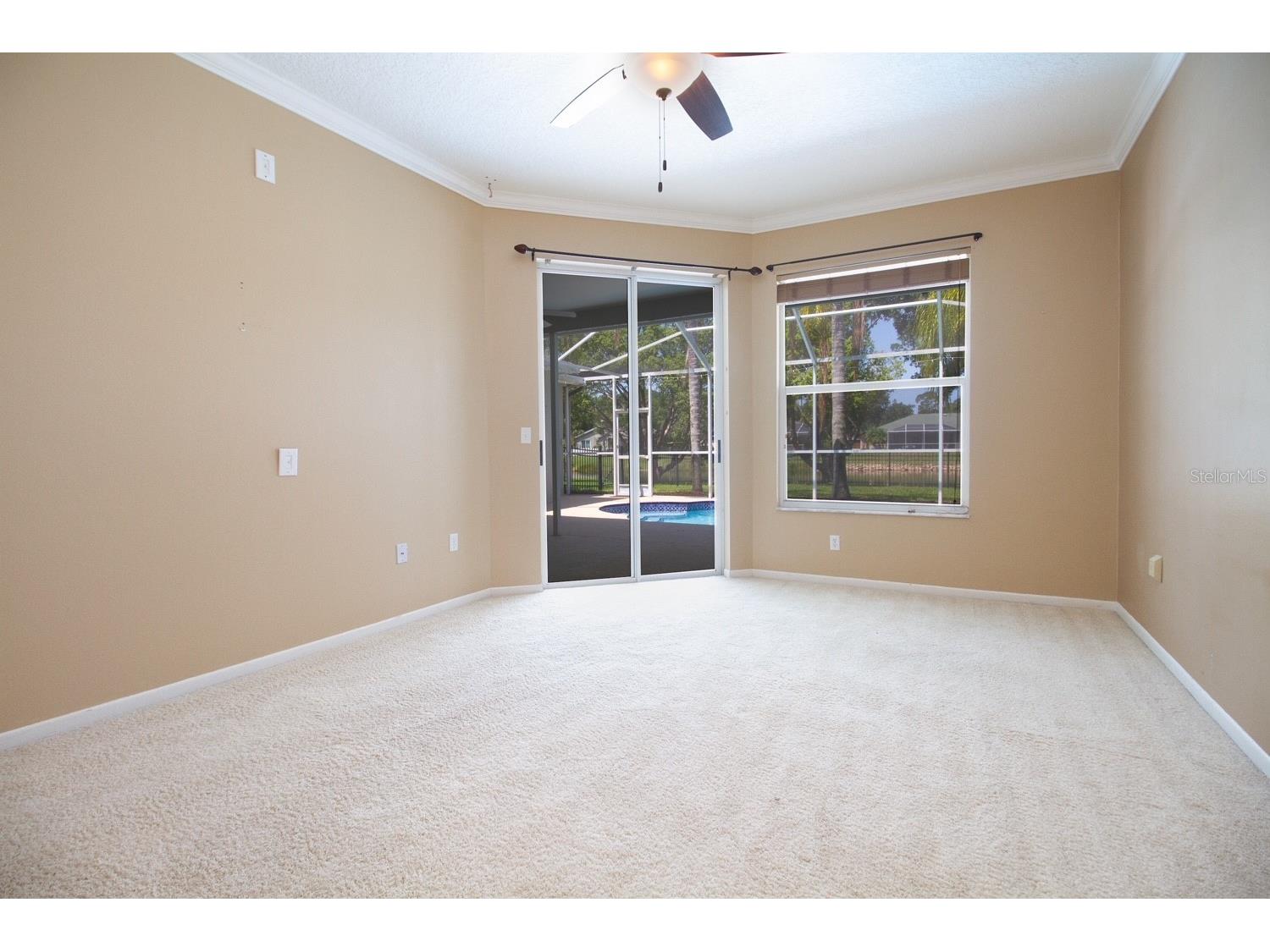2456 Appaloosa Trail Palm Harbor FL 34685 TB8504099 image22