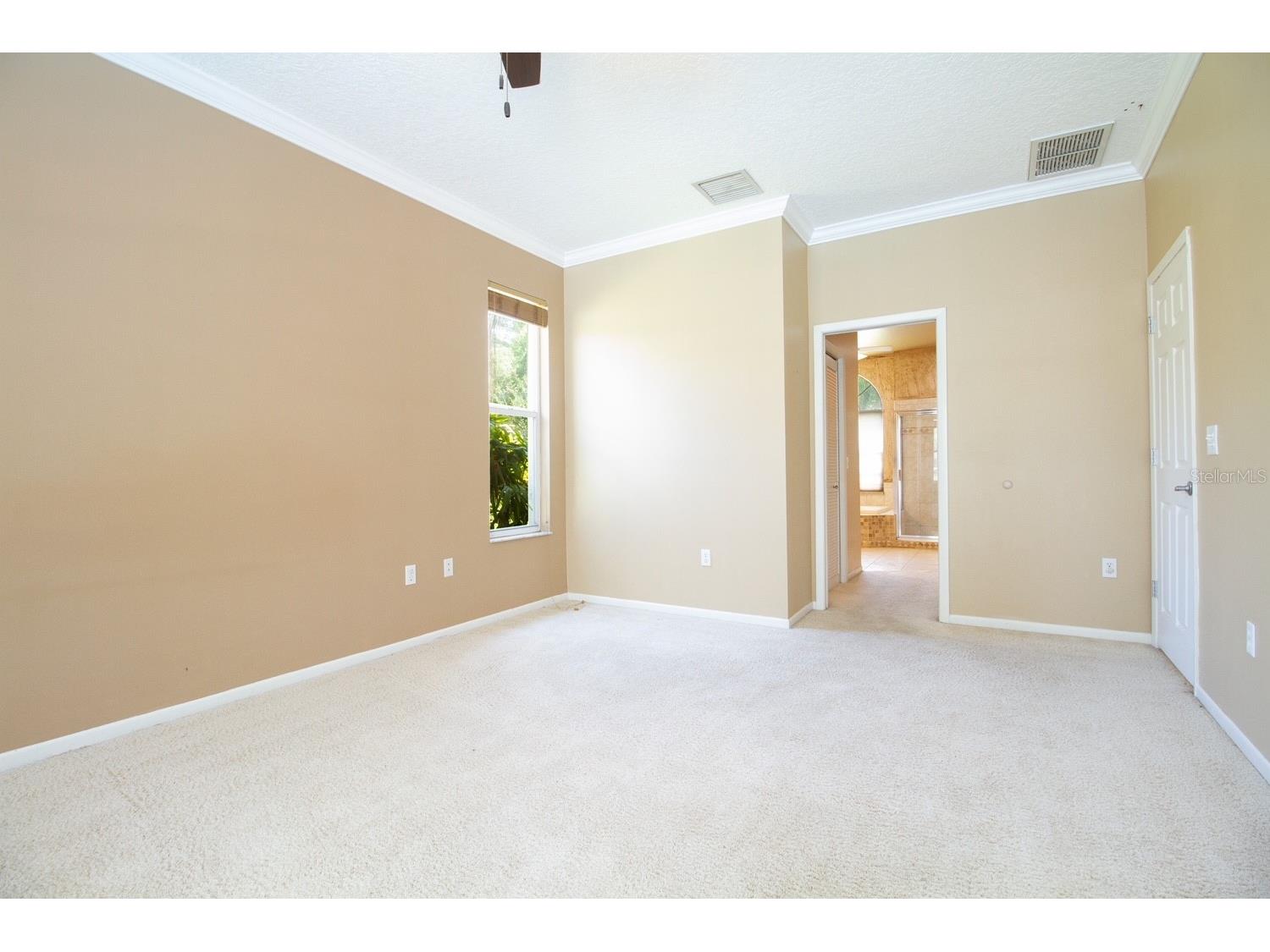 2456 Appaloosa Trail Palm Harbor FL 34685 TB8504099 image23