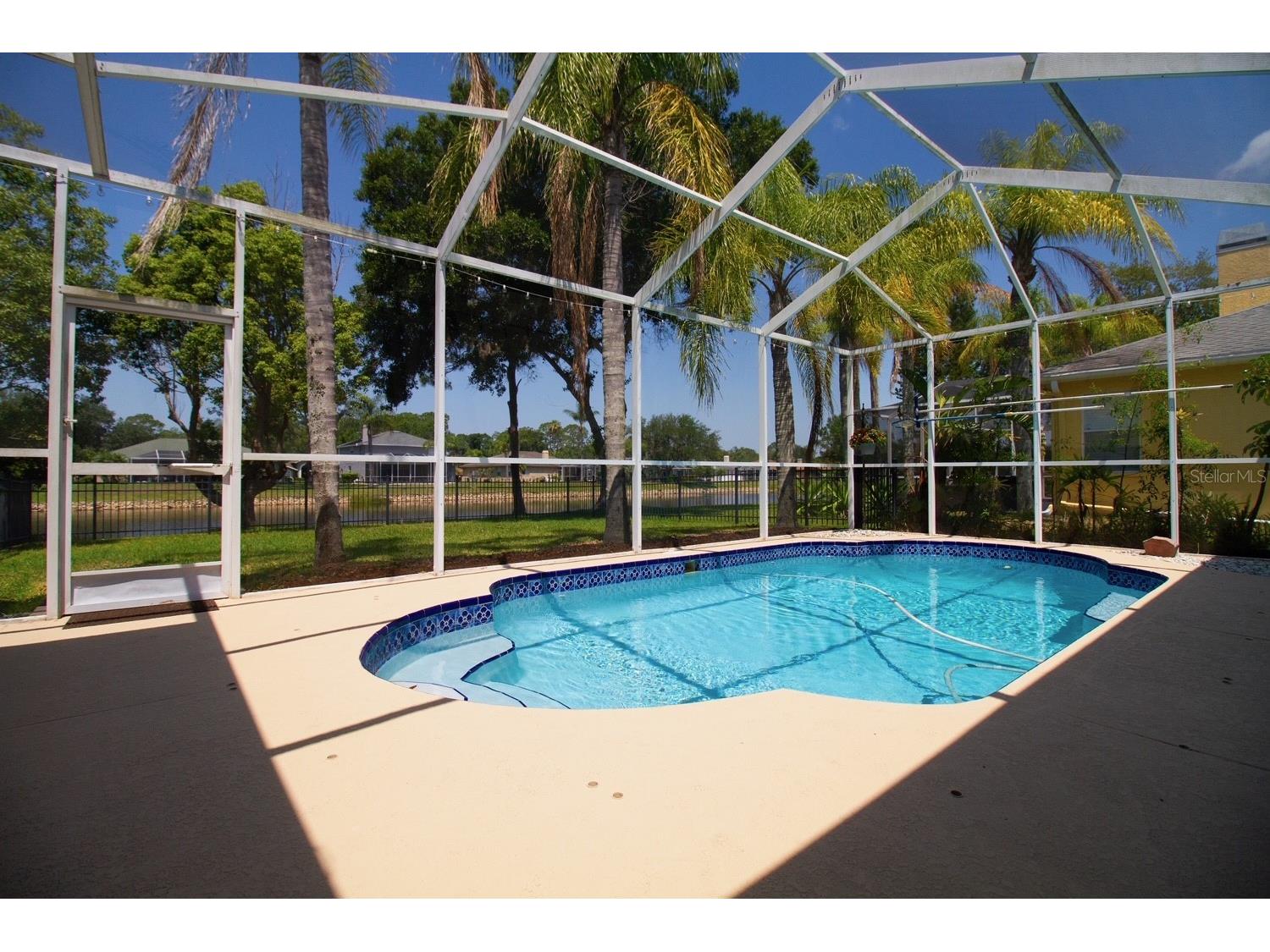 2456 Appaloosa Trail Palm Harbor FL 34685 TB8504099 image26