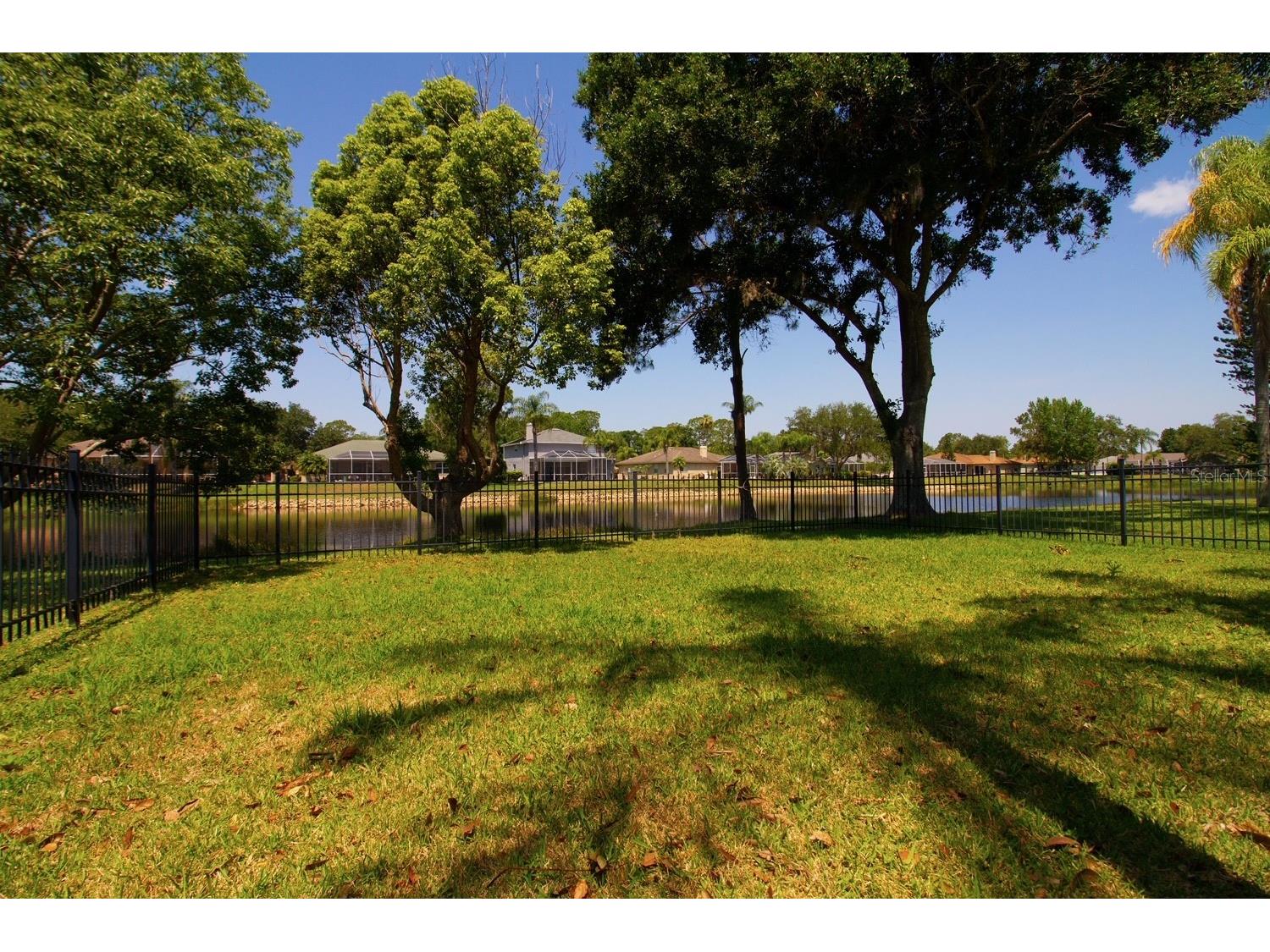 2456 Appaloosa Trail Palm Harbor FL 34685 TB8504099 image29
