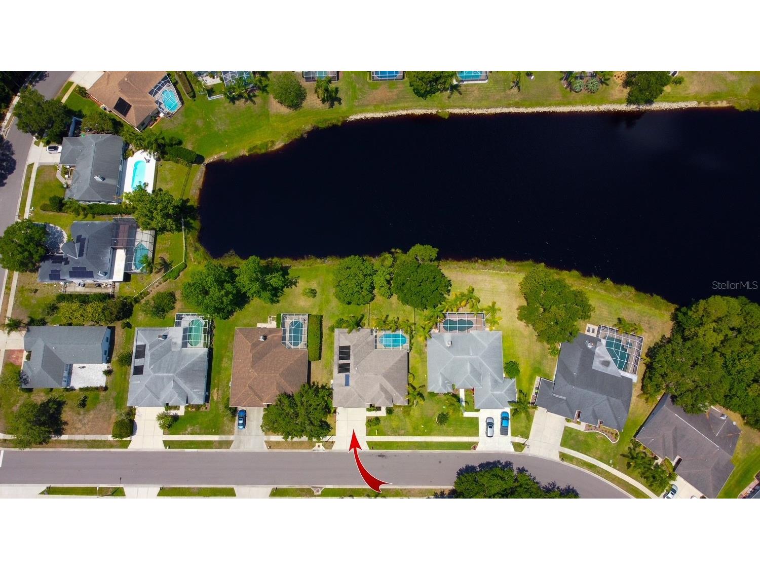 2456 Appaloosa Trail Palm Harbor FL 34685 TB8504099 image31