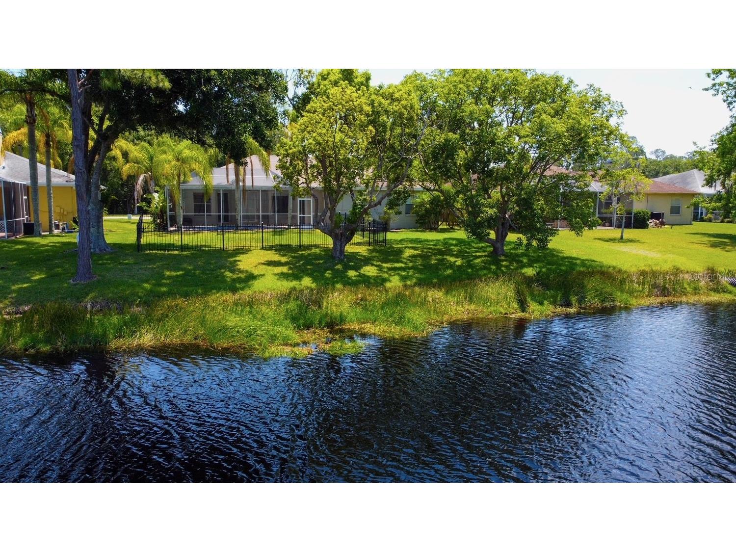 2456 Appaloosa Trail Palm Harbor FL 34685 TB8504099 image33