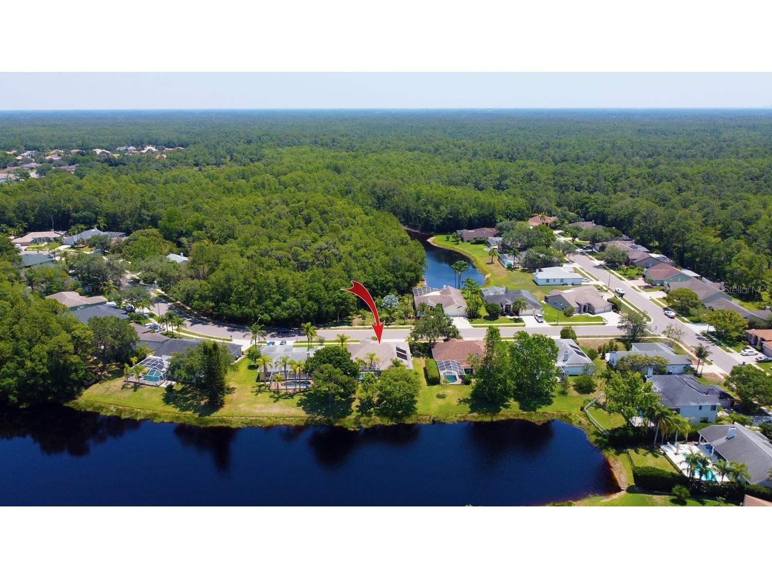 2456 Appaloosa Trail Palm Harbor FL 34685 TB8504099 image35