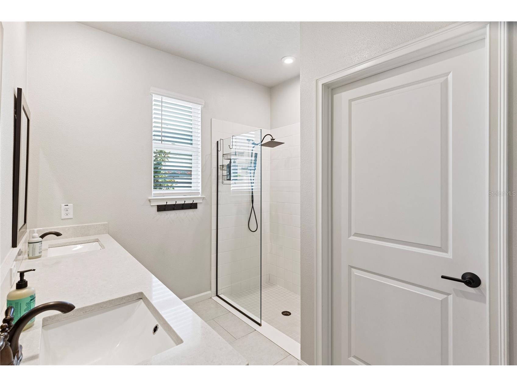 2456 Arbor Wind Drive Lutz FL 33558 TB8487717 image20