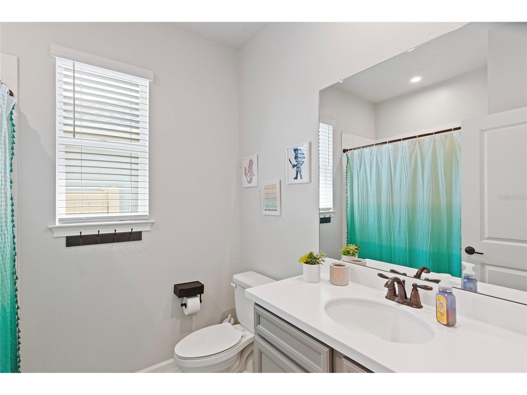 2456 Arbor Wind Drive Lutz FL 33558 TB8487717 image24