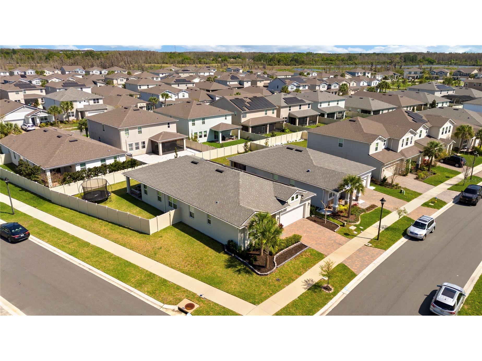 2456 Arbor Wind Drive Lutz FL 33558 TB8487717 image29