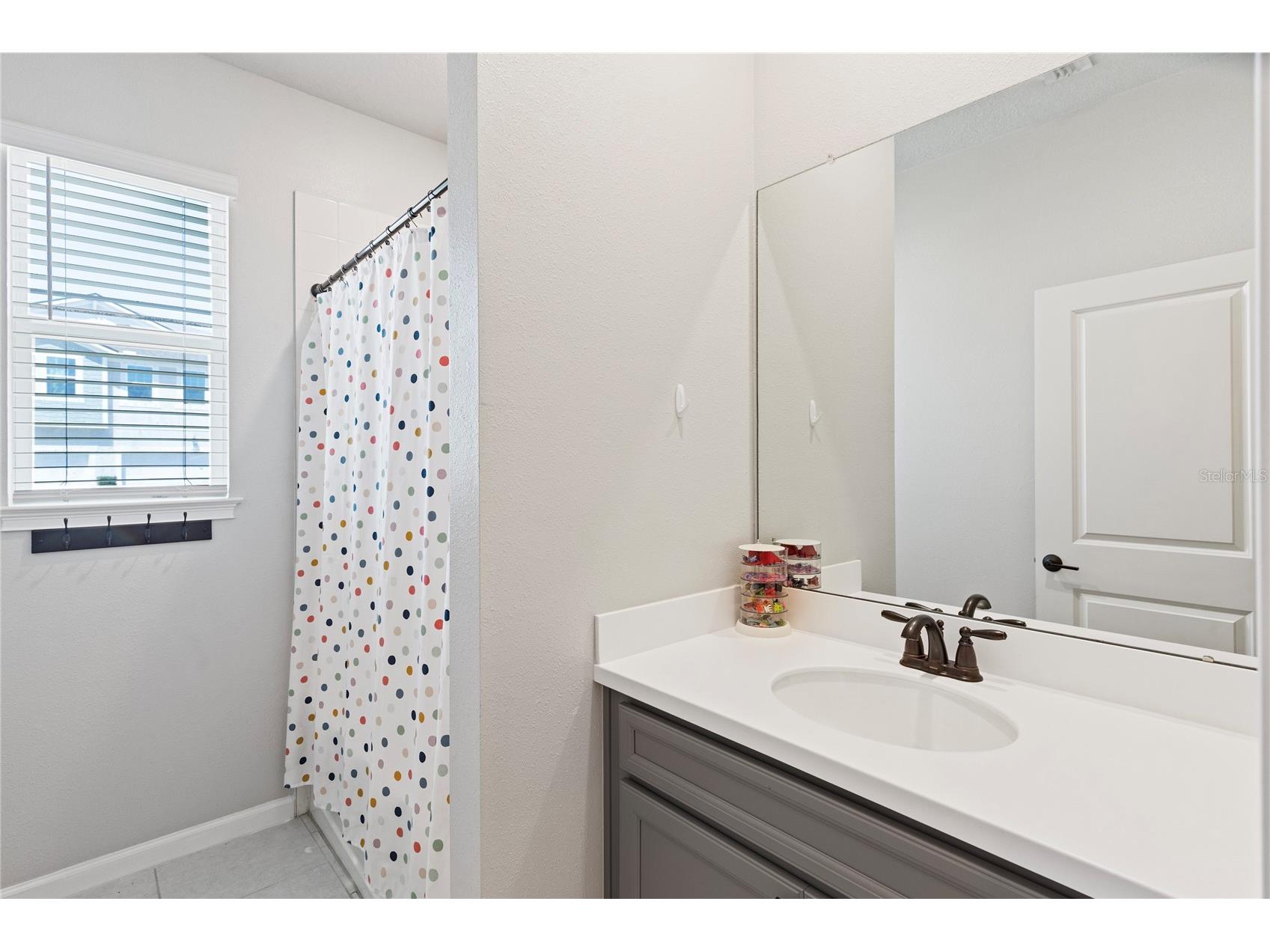 2456 Arbor Wind Drive Lutz FL 33558 TB8487717 image7