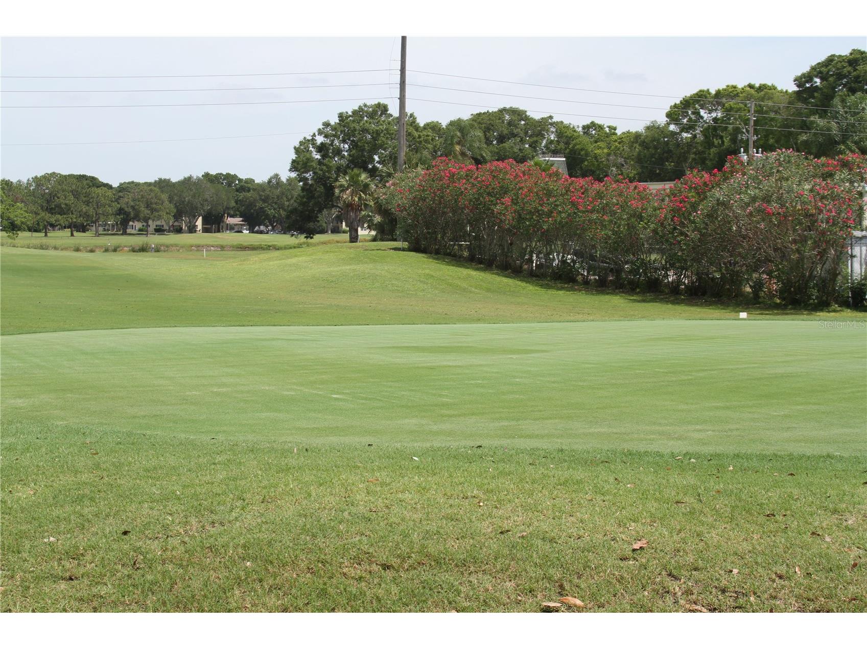 2456 Ecuadorian Way #38 Clearwater FL 33763 W7883507 image42