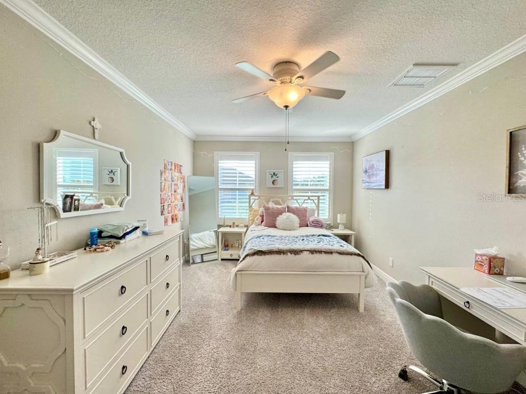 2456 Foggy Creek Circle Clearwater FL 33764 TB8431788 image16