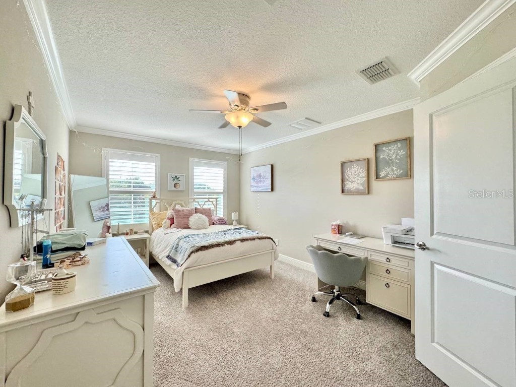 2456 Foggy Creek Circle Clearwater FL 33764 TB8431788 image17