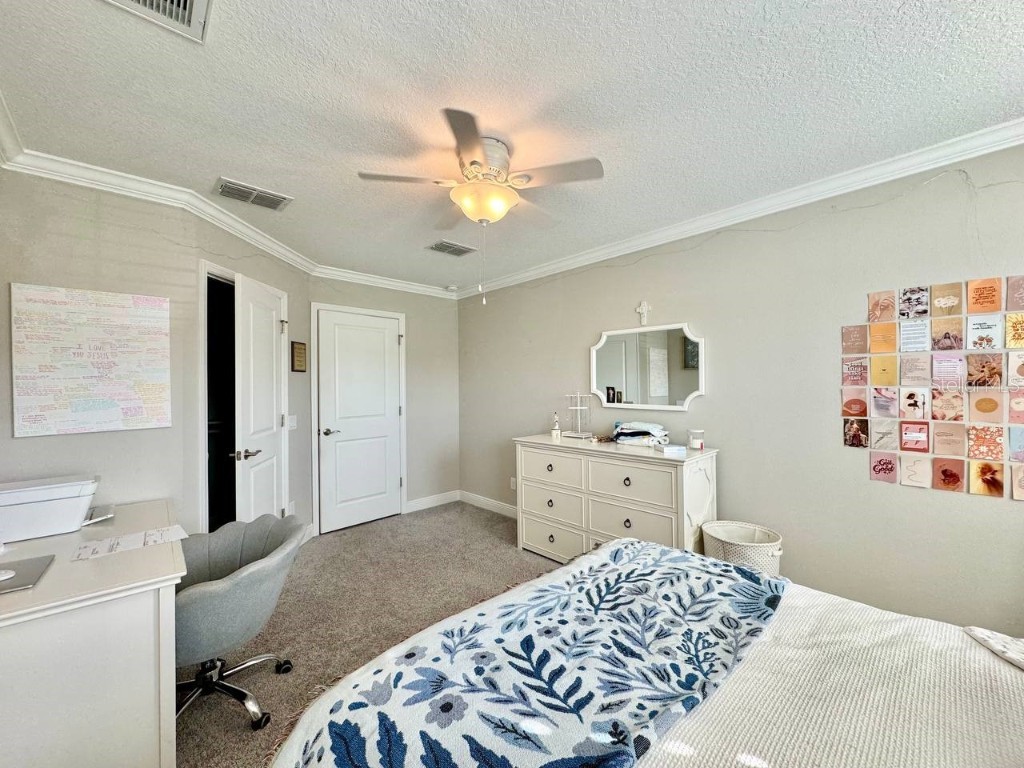 2456 Foggy Creek Circle Clearwater FL 33764 TB8431788 image18