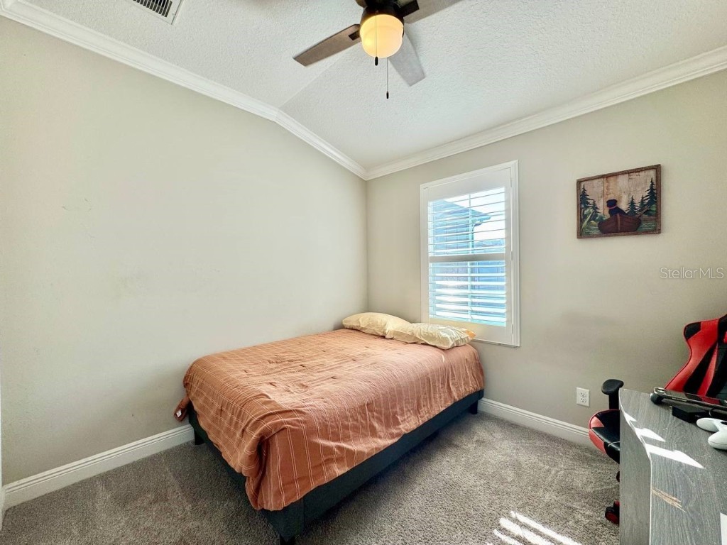 2456 Foggy Creek Circle Clearwater FL 33764 TB8431788 image21