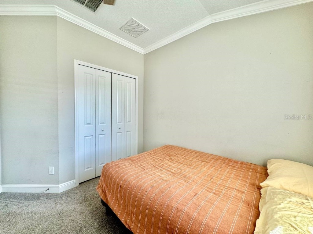 2456 Foggy Creek Circle Clearwater FL 33764 TB8431788 image22