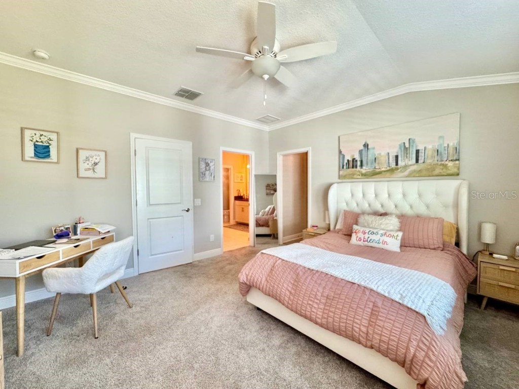 2456 Foggy Creek Circle Clearwater FL 33764 TB8431788 image25