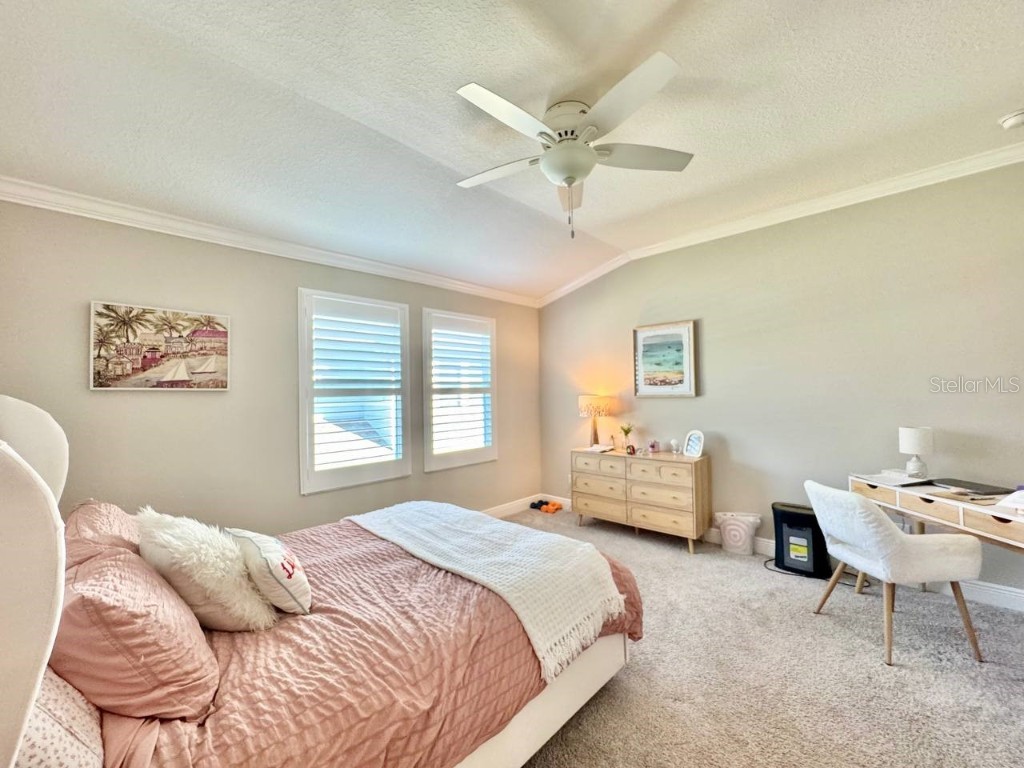 2456 Foggy Creek Circle Clearwater FL 33764 TB8431788 image27