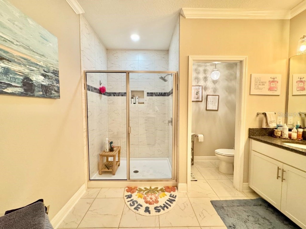 2456 Foggy Creek Circle Clearwater FL 33764 TB8431788 image29