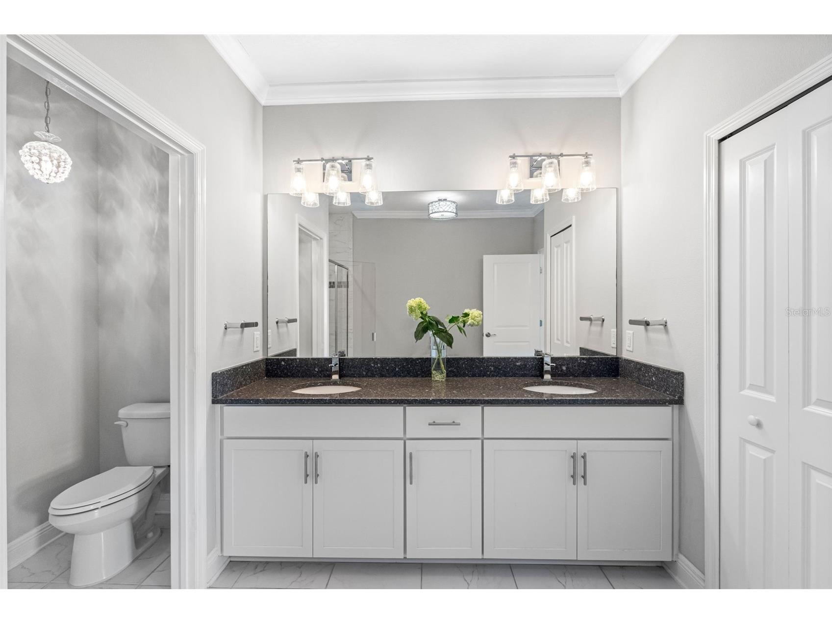 2456 Foggy Creek Circle Clearwater FL 33764 TB8473991 image21